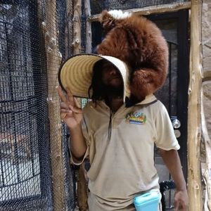 Meet your Posher, Herbert